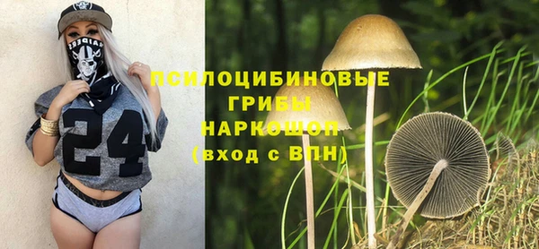 ешки Армянск