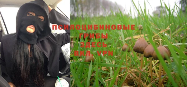 ешки Армянск